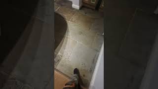 Yorkstone floor made to look beautiful again [upl. by Pearle]