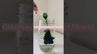 Chlorophyll Water for 1 Month Results Shorts [upl. by Imar9]