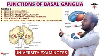 Functions of Basal Ganglia Connection of Basal Ganglia  CNS Physiology [upl. by Enneyehc509]