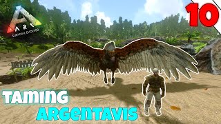 taming argentavis  ARK survival evolved Mobile  episode 10  arksurvivalevolved [upl. by Tergram]