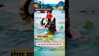 बाढ़ हादसा sultanganj shortsvideo river viralshort hadsa dard vlog danger youtube ganga 😭😭🙏 [upl. by Fifine875]