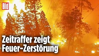 USA Heftiger Waldbrand erschüttert Kalifornien [upl. by Aylad]