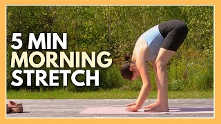 5 Minute Morning Yoga  Daily Stretching Routine [upl. by Merline]