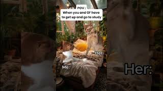 CAT MEMES 🐱Wake Up and Snooze⏰catmemes relatable [upl. by Sivlek]