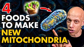 4 Foods to Make New Mitochondria Scientific Proof  Mastering Diabetes [upl. by Drusi258]