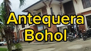 Municipality of Antequera Bohol Tour and Inambacan Spring and Cave [upl. by Enawd]