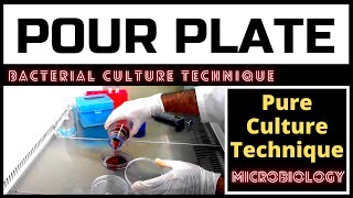 Pour Plate Technique for Colony CountingA Complete Procedure Microbiology [upl. by Nnairrek]