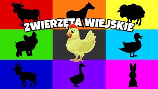 Zwierzęta wiejskie  Bajka edukacyjna  Film edukacyjny o zwierzętach na wsi [upl. by Jarrell]