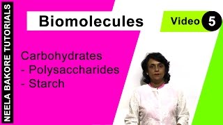 Biomolecules  NEET  Carbohydrates  Polysaccharides  Starch  Neela Bakore Tutorials [upl. by Ephrayim]