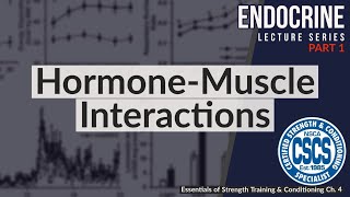 HormoneMuscle Interactions  CSCS Chapter 4 [upl. by Munmro]