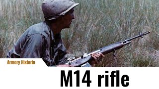 The M14 in Action in Vietnam [upl. by Cirderf]