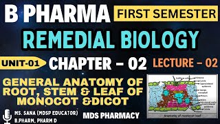 Ch02L2 General Anatomy of Root Stem amp leaf of monocots amp dicots  Remedial Biology  B Pharma [upl. by Enoved163]