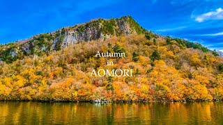 Autumn Trip to Aomori｜Fall Foliage Hunt Staying at Hoshino Resorts Aomoriya and Oirase Keiryu Hotel [upl. by Ellirpa309]