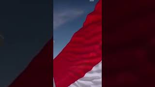 Selamat hari jadi indonesia ku indonesia indonesiamaju ulangtahun garuda shortvideo [upl. by Ignatzia]