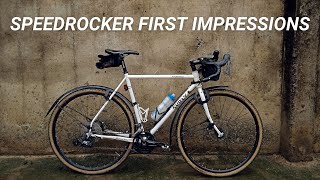 Pros and Cons of Bike Fenders  SKS Speedrocker First Impressions [upl. by Ellenor123]