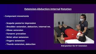 PNF Proprioceptive Neuromuscular Facilitation for the Upper Extremity [upl. by Ahtenak546]