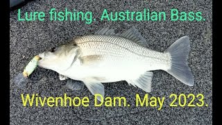 Australian Bass Fishing Wivenhoe Dam [upl. by Aciraa]