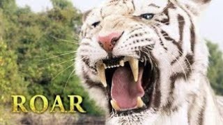 Roar  New action movie  Roar movie fighting scene  Roar movie end scene [upl. by Pascoe]