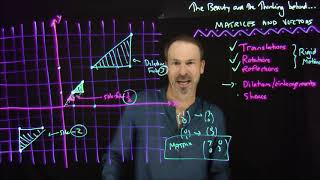 MATRICES and TRANSFORMATIONS Bonus Video Practicing Geometric Transformations [upl. by Kcirrag]