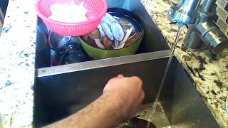 How to clean Pacific Razor Clams Siliqua Patula [upl. by Lrat]