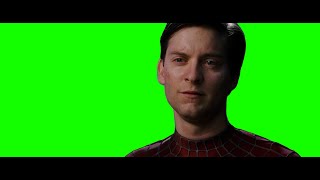 SpiderMan 3 Peter Forgives Sandman Green Screen [upl. by Yerg]