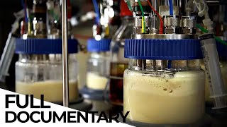 How Biotechnology Is Changing the World  Microorganisms  Biotech  ENDEVR Documentary [upl. by Hcir]