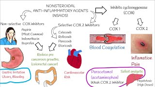 Understanding NonSteroidal AntiInflammatory Drugs NSAIDs in 3 minutes [upl. by Nawoj]