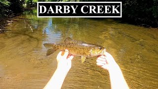 Fishing Pilgrim Park Darby Creek in Drexel Hill Pennsylvania [upl. by Proud]