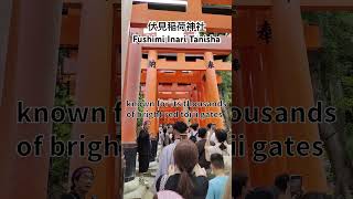 【Kyoto Travel】Fushimi Inaritaisha Shrine in Japan  伏見稲荷大社 travel japaneseculture shrine [upl. by Iramohs107]