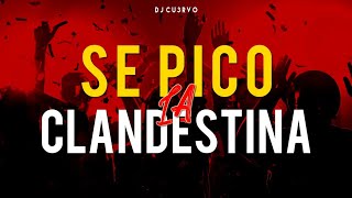 •🔥 SE PICO LA CLANDESTINA 5 🔥•  ALTA JODA  FIESTA 2021  LO MEJOR   DJ Cu3rvo [upl. by Sy]