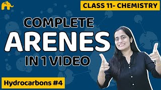 Hydrocarbons Chemistry Class 11 Arenes  CBSE NEET JEE [upl. by Naesal]