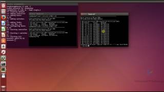 TCP and UDP throughput graph in Mininet [upl. by Daffy]