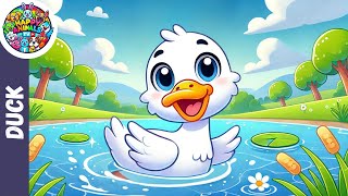 Quack Quack Duck Song  ‪HappyAnimalsTV Kids Songs amp Nursery Rhymes [upl. by Alurta683]