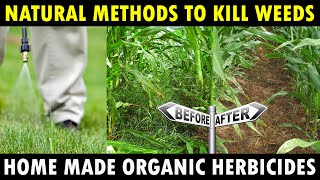 Organic Herbicides for Farming  Natural Weed Killer Weedicides  Organic Farming [upl. by Anilorak234]