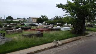 Cemetery in Belize city Belize [upl. by Enelcaj]