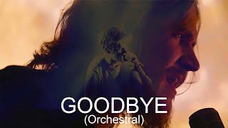 Bo Burnham  Goodbye Orchestral [upl. by Aidualc]