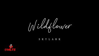 Wildflower  Skylark Cover [upl. by Lurlene]