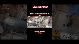 shree Kashi Vishwanath live darshan  Varanasi kashi kashivishwanath vishwanath varanasi [upl. by Annim227]