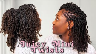 MINI SPRING TWIST DIY  NATURAL HAIRSTYLES [upl. by Uoliram]