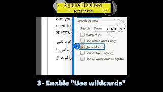 How to use Square Brackets in Wildcards in Words Find and Replace [upl. by Callery488]