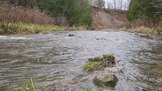 Calming Flowing River In Autumn  ASMR [upl. by Essej]