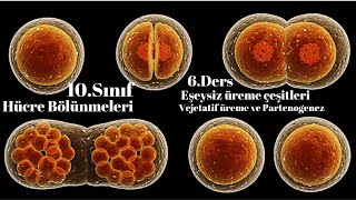 10 Sınıf Biyoloji Partenogenez ve Vejetatif üreme 6Ders [upl. by Olga547]