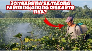 Farmer Expert na 30 years sa Talong Farming May advise para Di Malugi [upl. by Ondrea407]