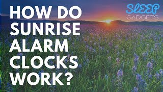 How Do Sunrise Alarm Clocks Work [upl. by Melda]