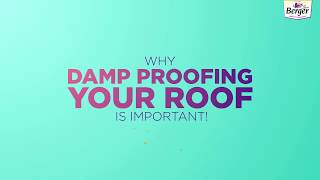 Why damp proofing your roof is important [upl. by Nimajeb]