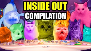 CAT MEMES CATs IN INSIDE OUT COMPILATION [upl. by Tekcirc]