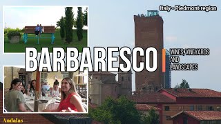 Barbaresco  Wines vineyards and landscapes  Italy  Piedmont region ENGLISH VERSION 4K [upl. by Floro]