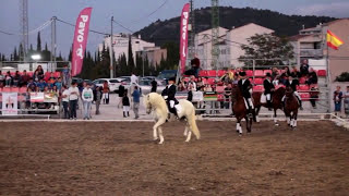 201509 Exhibición Social doma clásica Escuela Antonio Sánchez Los Caballos del Vino by zAkAtYn 👀 [upl. by Katsuyama]