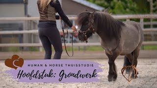 PREVIEW HUMAN amp HORSE METHODE THUISSTUDIE GRONDWERK [upl. by Cleopatra221]