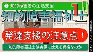 【知的障害福祉士❼１】｜発達支援の注意点！｜自立観についても解説｜テキスト第７巻 知的障害者の生活支援 [upl. by Luanni]